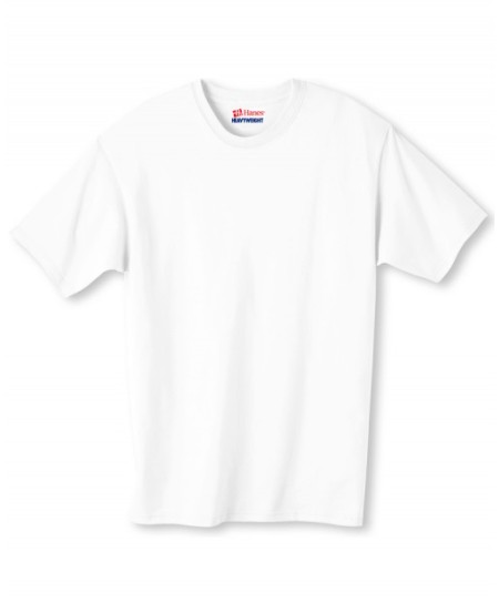 Hanes 5280   Adult Essential Short Sleeve T-Shirt