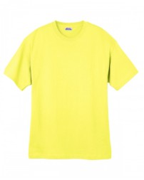 Hanes 5280   Adult Essential Short Sleeve T-Shirt