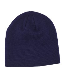 Big Accessories TNT Knit Beanie